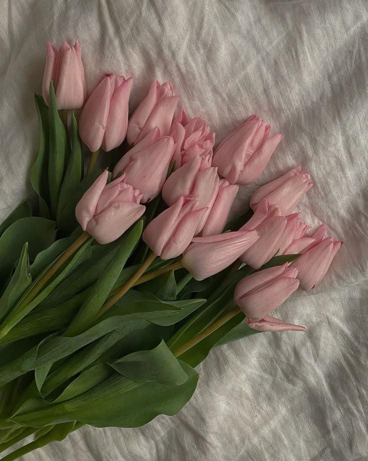 Crisp Twilight Serenity Blooms